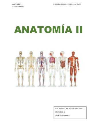 BLOQUE-VASCULARIZACION-E-INERVACION.pdf