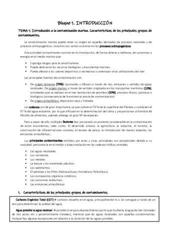 Resumen-contaminacion.pdf