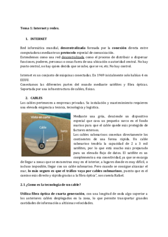 Tema-1Internet-y-Redes.pdf