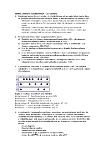Tema-5-BMC-Actividades.pdf