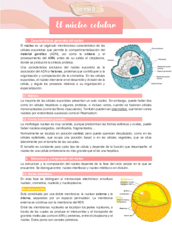 TEMA-9-El-nucleo.pdf