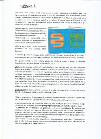 modulo-2.pdf