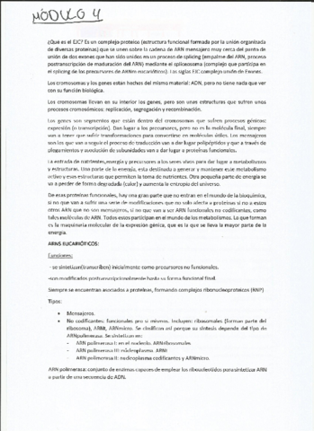 modulo-4.pdf