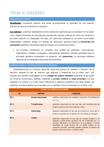 Tema-6-Enzimas-.pdf