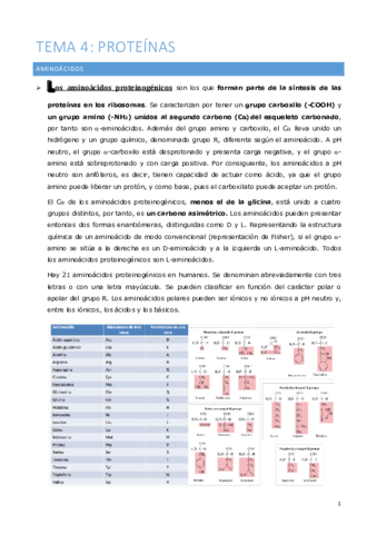 Tema-5-Proteinas-.pdf