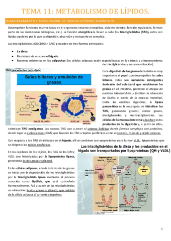 Tema-11.pdf
