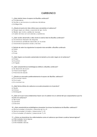 CUESTIONARIO-CARBUNCO-.pdf