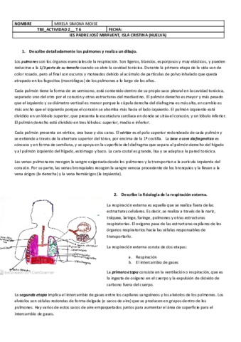 tbe-actividad-2.pdf