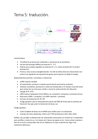 Tema-5.pdf