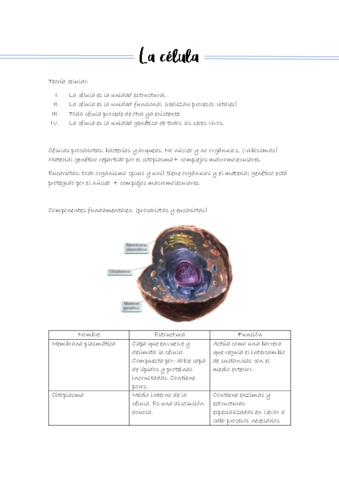 La-celula-4o-ESO.pdf