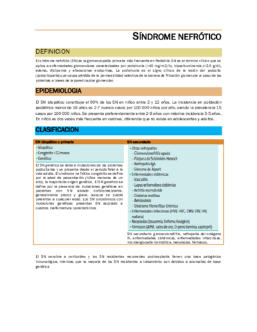 sindrome-nefrotico.pdf