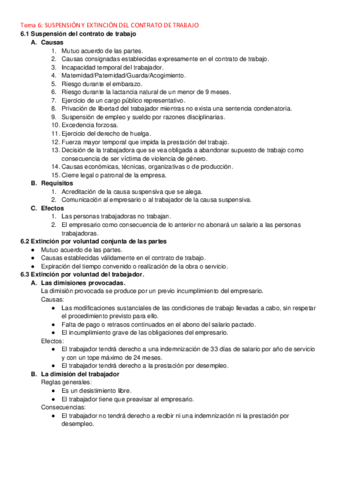 IDLaboralTema6.pdf
