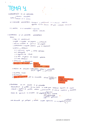 PROY-Teoria-tema-4.pdf