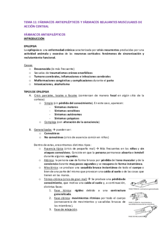 TEMA-11.pdf