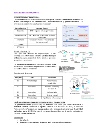 TEMA-17-FARMA.pdf