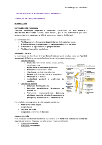 TEMA-13-FARMA.pdf
