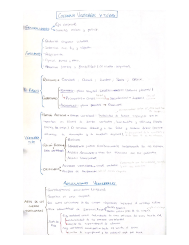 VERTEBRA.pdf