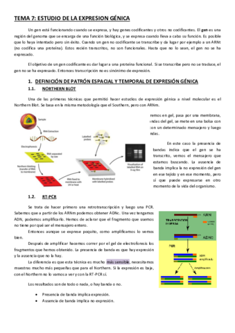 TEMA-7.pdf