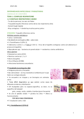 TEMA-1-MALALTIES.pdf
