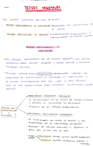 Tejidos-Vegetales-Esquema-completo.pdf