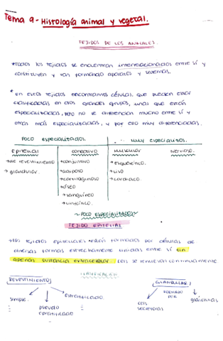 Tejidos-Animales-Esquema-completo.pdf