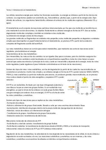 Bloque I .pdf