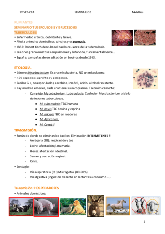 Seminario-tuberculois-y-brucelosis.pdf