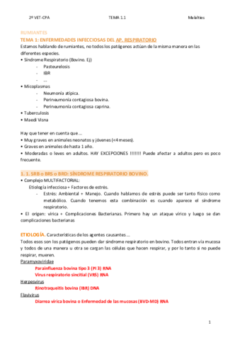 TEMA-1.pdf