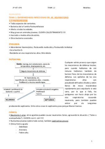 TEMA-1.pdf