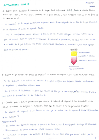 Actividades-inmuno-t5.pdf