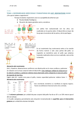 TEMA-1-AVES.pdf