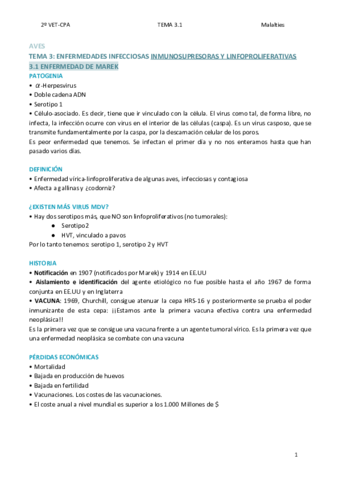 TEMA-3.pdf