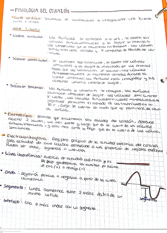 tarea--02-04-2021-09.jpg