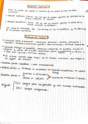 tarea--02-04-2021-09.jpg