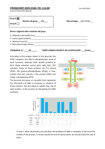 EJERCICIOS-29-32.pdf