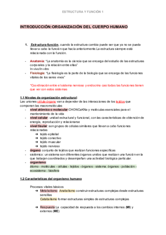 ESTUCTURA-Y-FUNCION-1.pdf