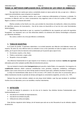 TEMA-14.pdf