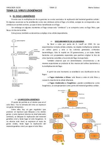 TEMA-12.pdf
