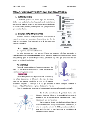 TEMA-9.pdf
