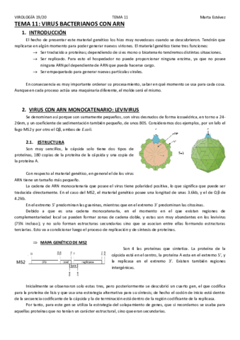 TEMA-11.pdf