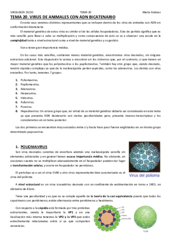 TEMA-20.pdf