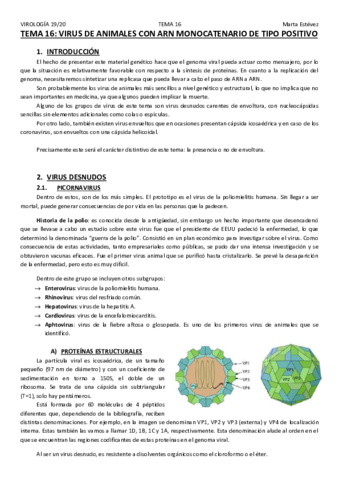 TEMA-16.pdf
