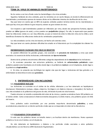 TEMA-24.pdf