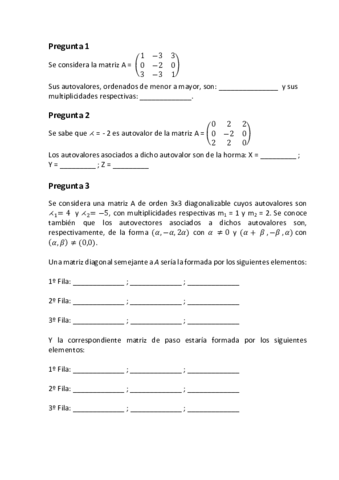 Prueba-Tema-1-mates-II.pdf