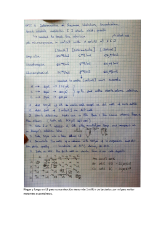 U6 - Minimum Inhibitory Concentration