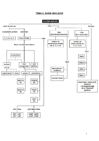 Acids-Nucleics.pdf