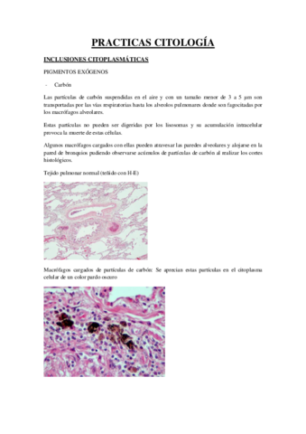 PRACTICAS CITO.pdf