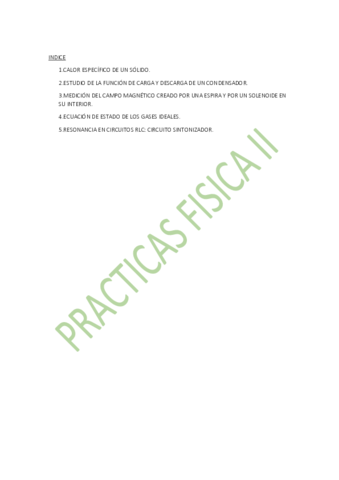 practicas-fisica-II.pdf