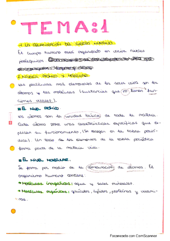 Estructura-del-cuerpo-humano.pdf