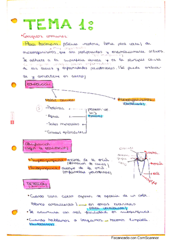 eliminacion-de-la-placa-bacteriana.pdf